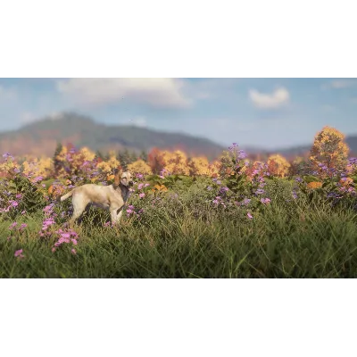 THEHUNTER: CALL OF THE WILD - LABRADOR RETRIEVER XBOX - irongamers.ru