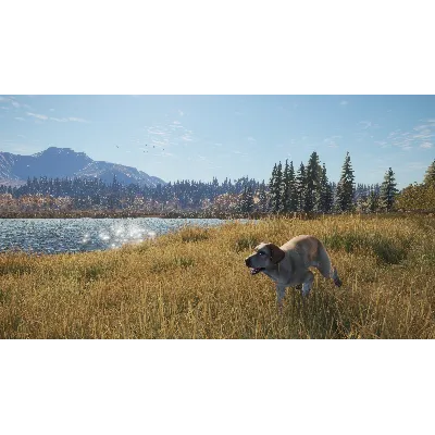 THEHUNTER: CALL OF THE WILD - LABRADOR RETRIEVER XBOX - irongamers.ru