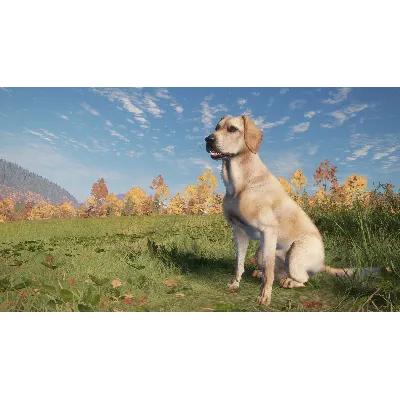 THEHUNTER: CALL OF THE WILD - LABRADOR RETRIEVER XBOX - irongamers.ru