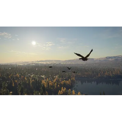 THEHUNTER: CALL OF THE WILD - REVONTULI COAST XBOX - irongamers.ru