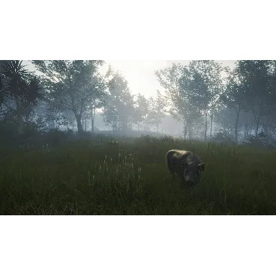 CALL OF THE WILD - TE AWAROA NATIONAL PARK XBOX КЛЮЧ - irongamers.ru