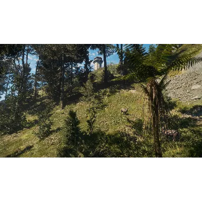 CALL OF THE WILD - TE AWAROA NATIONAL PARK XBOX КЛЮЧ - irongamers.ru