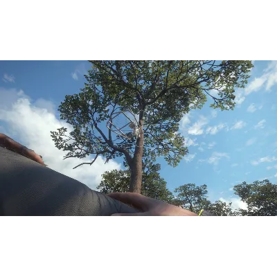 THEHUNTER: CALL OF THE WILD - TREESTAND & TRIPOD P - irongamers.ru