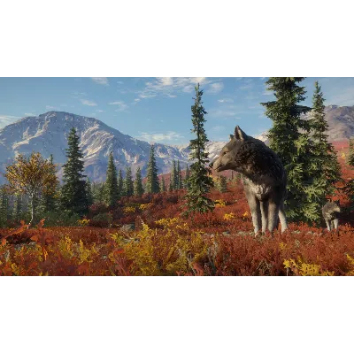 THEHUNTER: CALL OF THE WILD - YUKON VALLEY XBOX КЛЮЧ - irongamers.ru