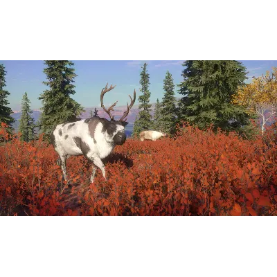 THEHUNTER: CALL OF THE WILD - YUKON VALLEY XBOX КЛЮЧ - irongamers.ru