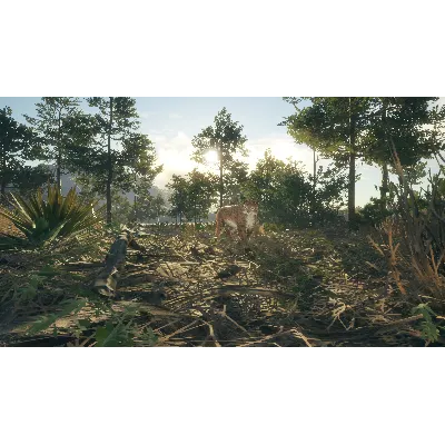 THEHUNTER: CALL OF THE WILD - RANCHO DEL ARROYO XBOX - irongamers.ru