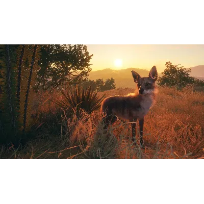 THEHUNTER: CALL OF THE WILD - RANCHO DEL ARROYO XBOX - irongamers.ru