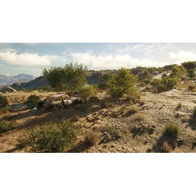 THEHUNTER: CALL OF THE WILD - RANCHO DEL ARROYO XBOX - irongamers.ru