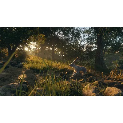 THEHUNTER: CALL OF THE WILD - RANCHO DEL ARROYO XBOX - irongamers.ru