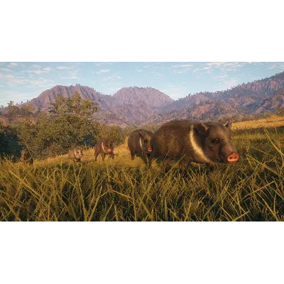 THEHUNTER: CALL OF THE WILD - RANCHO DEL ARROYO XBOX - irongamers.ru