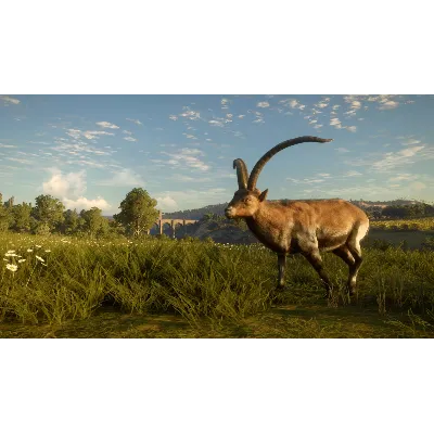 CALL OF THE WILD - CUATRO COLINAS GAME RESERVE XBOX - irongamers.ru