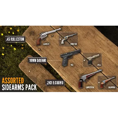 CALL OF THE WILD - ASSORTED SIDEARMS PACK XBOX КЛЮЧ - irongamers.ru
