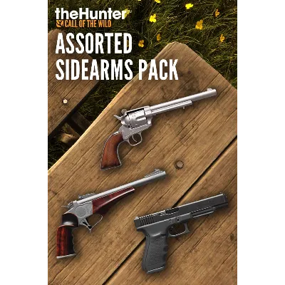 CALL OF THE WILD - ASSORTED SIDEARMS PACK XBOX КЛЮЧ - irongamers.ru