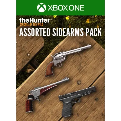 CALL OF THE WILD - ASSORTED SIDEARMS PACK XBOX КЛЮЧ - irongamers.ru