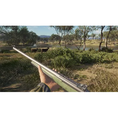 THEHUNTER: CALL OF THE WILD - AUSTRALIA XBOX КЛЮЧ - irongamers.ru