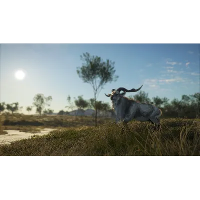 THEHUNTER: CALL OF THE WILD - AUSTRALIA XBOX КЛЮЧ - irongamers.ru