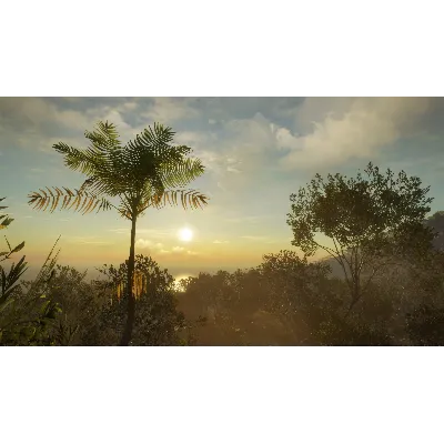 THEHUNTER: CALL OF THE WILD - AUSTRALIA XBOX КЛЮЧ - irongamers.ru