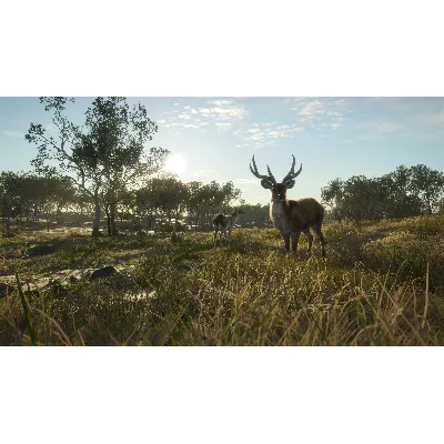 THEHUNTER: CALL OF THE WILD - AUSTRALIA XBOX КЛЮЧ - irongamers.ru
