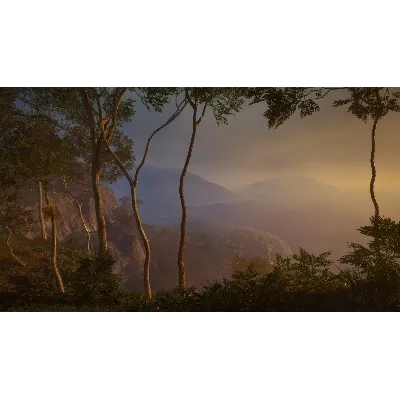 THEHUNTER: CALL OF THE WILD - AUSTRALIA XBOX КЛЮЧ - irongamers.ru