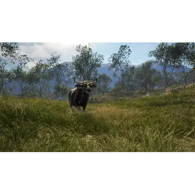 THEHUNTER: CALL OF THE WILD - AUSTRALIA XBOX КЛЮЧ - irongamers.ru