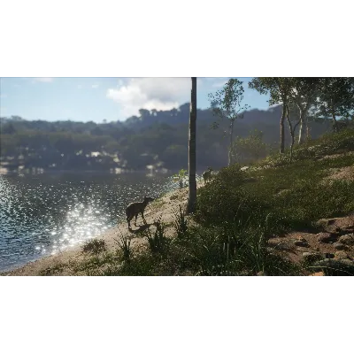 THEHUNTER: CALL OF THE WILD - AUSTRALIA XBOX КЛЮЧ - irongamers.ru