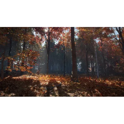 CALL OF THE WILD - NEW ENGLAND MOUNTAINS XBOX КЛЮЧ - irongamers.ru