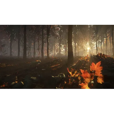 CALL OF THE WILD - NEW ENGLAND MOUNTAINS XBOX КЛЮЧ - irongamers.ru