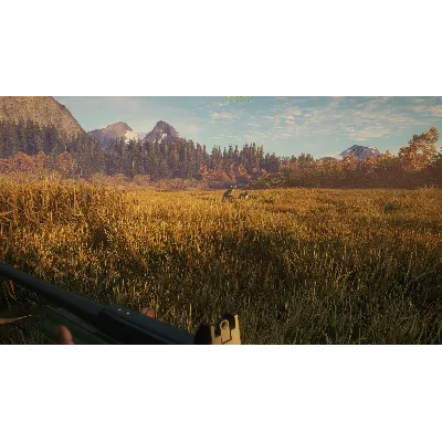 CALL OF THE WILD - HUNTER POWER PACK XBOX КЛЮЧ - irongamers.ru
