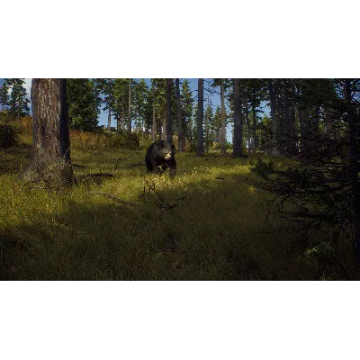 WAY OF THE HUNTER: SEASON PASS XBOX X|S КЛЮЧ - irongamers.ru