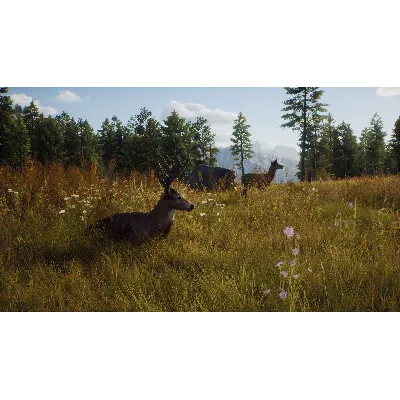 WAY OF THE HUNTER: SEASON PASS XBOX X|S КЛЮЧ - irongamers.ru