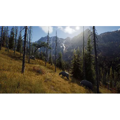 WAY OF THE HUNTER: SEASON PASS XBOX X|S КЛЮЧ - irongamers.ru