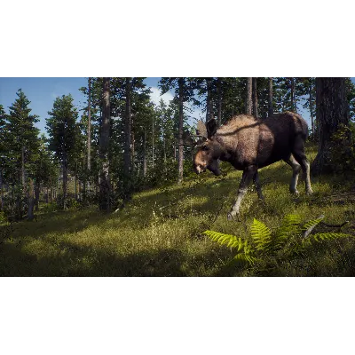 WAY OF THE HUNTER: SEASON PASS XBOX X|S КЛЮЧ - irongamers.ru