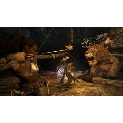 Dragon&acute;s Dogma Dark Arisen (Steam Ключ / Россия + Мир) - irongamers.ru