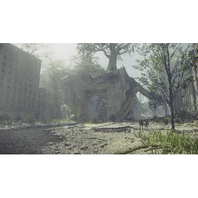 NIER:AUTOMATA BECOME AS GODS EDITION XBOX ONE/X|S - irongamers.ru