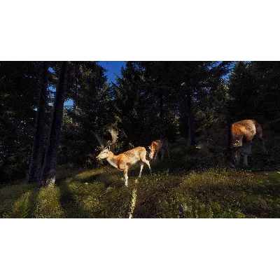 WAY OF THE HUNTER XBOX X|S КЛЮЧ - irongamers.ru