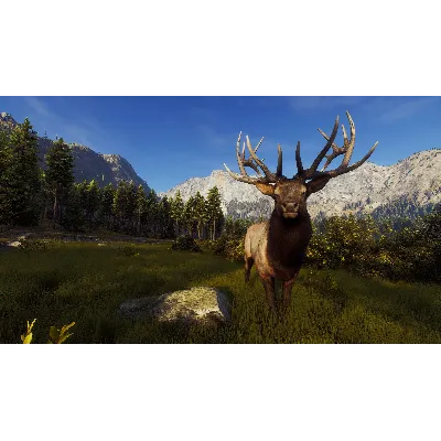 WAY OF THE HUNTER XBOX X|S КЛЮЧ - irongamers.ru