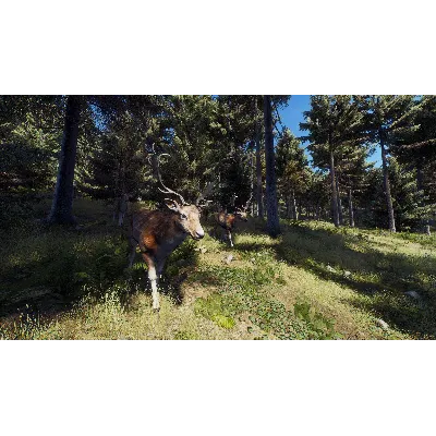 WAY OF THE HUNTER XBOX X|S КЛЮЧ - irongamers.ru