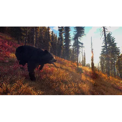 WAY OF THE HUNTER XBOX X|S КЛЮЧ - irongamers.ru