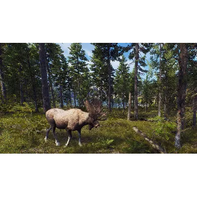 WAY OF THE HUNTER XBOX X|S КЛЮЧ - irongamers.ru