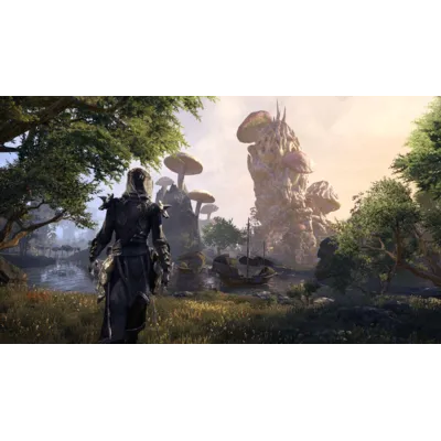 The Elder Scrolls Online + Morrowind (BETHESDA КЛЮЧ) РФ+МИР - irongamers.ru