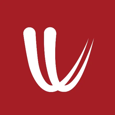 Подписка на премиум-аккаунт Windy.com на 1 год - irongamers.ru