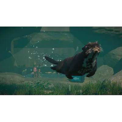 Planet Zoo: Aquatic Pack DLC * STEAM АВТОДОСТАВКА - irongamers.ru