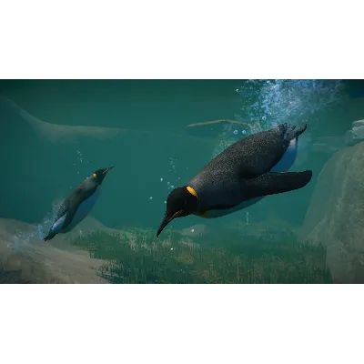 Planet Zoo: Aquatic Pack DLC * STEAM АВТОДОСТАВКА - irongamers.ru
