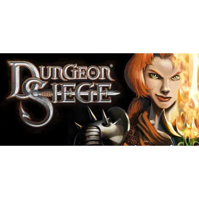 Dungeon Siege (Steam Gift Россия) - irongamers.ru