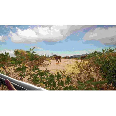 THEHUNTER CALL OF THE WILD™ - HUNTER POWER PACK XBOX - irongamers.ru