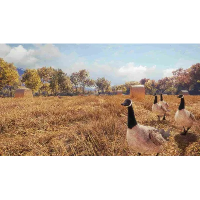 CALL OF THE WILD - WILD GOOSE CHASE GEAR XBOX - irongamers.ru