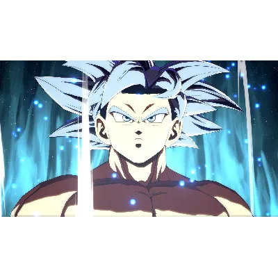 DRAGON BALL FIGHTERZ - GOKU (ULTRA INSTINCT) XBOX - irongamers.ru