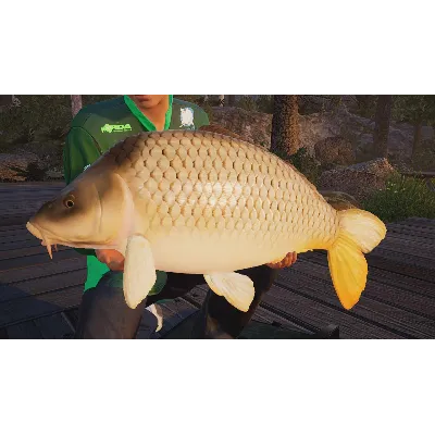 FISHING SIM WORLD®: PRO TOUR XBOX ONE|XS КЛЮЧ - irongamers.ru