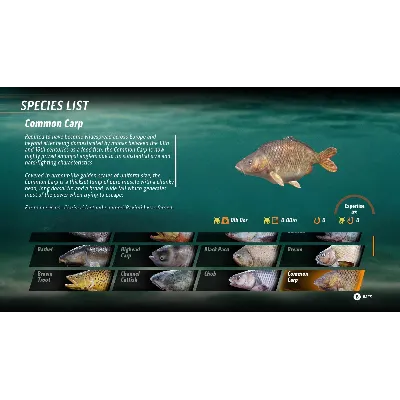 THE CATCH: CARP & COARSE FISHING XBOX+PC КЛЮЧ - irongamers.ru