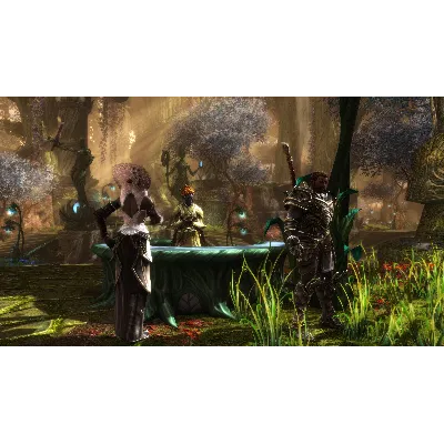 KINGDOMS OF AMALUR: RE-RECKONING FATE EDITION XBOX КЛЮЧ - irongamers.ru